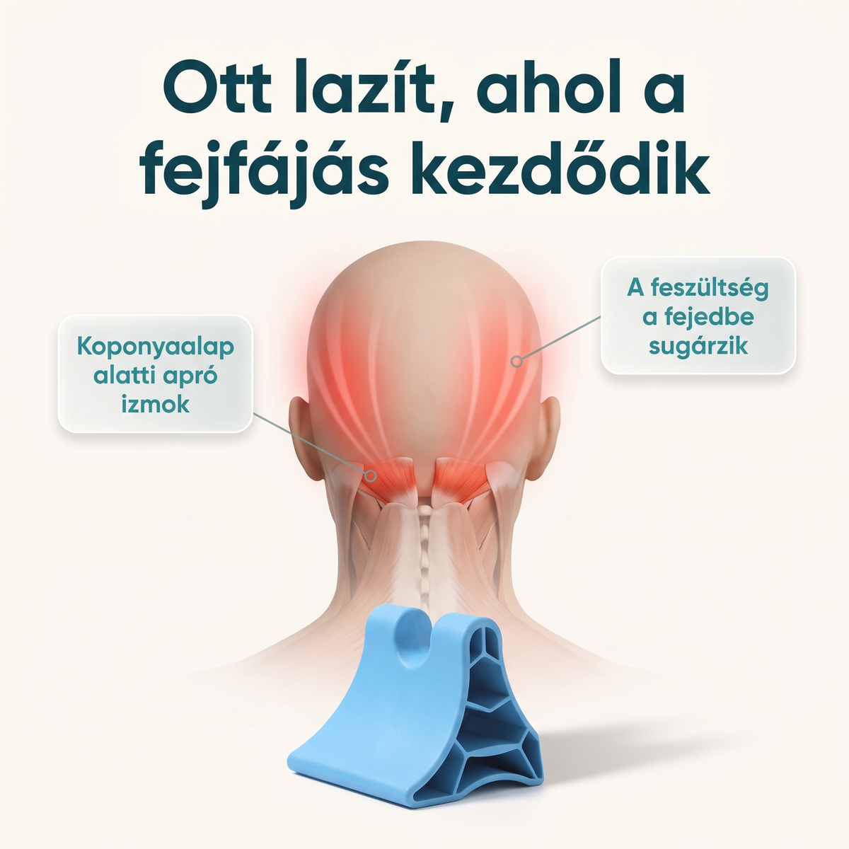 Ott lazít, ahol a fejfájás kezdődik: a koponyaalap alatti izmok
