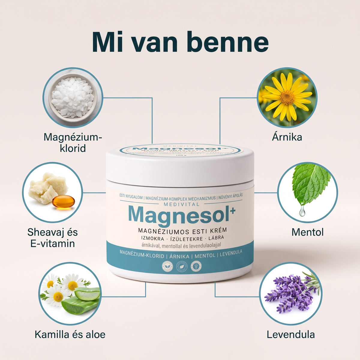 Mi van a Magnesol+ krémben: magnézium-klorid, árnika, mentol, levendula, kamilla és aloe, sheavaj és E-vitamin